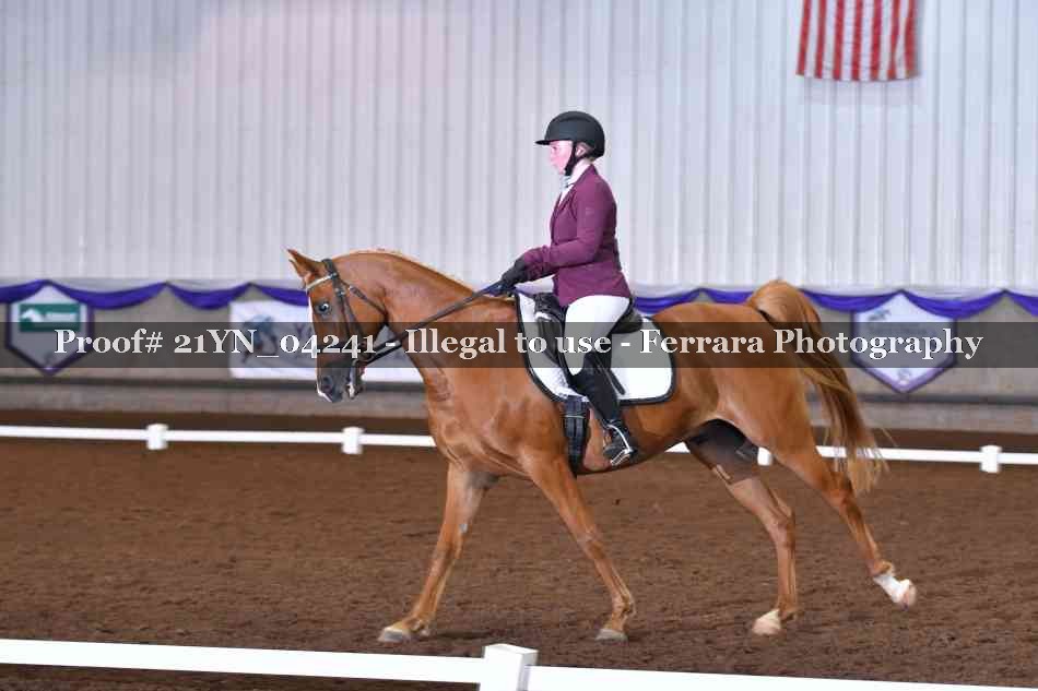 Proof Number 21YN_04241