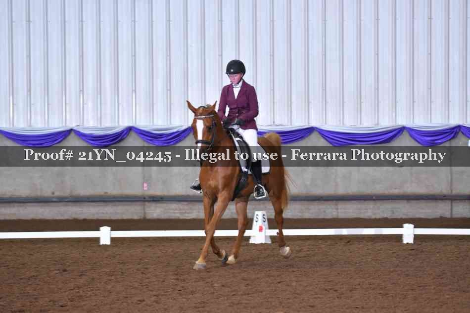 Proof Number 21YN_04245