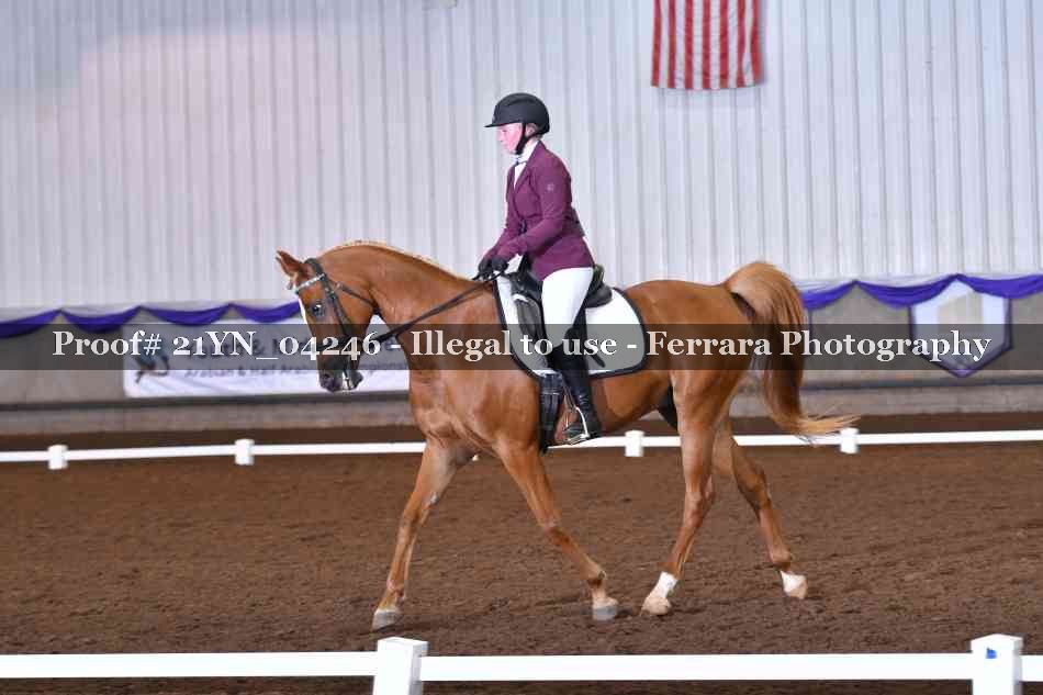 Proof Number 21YN_04246