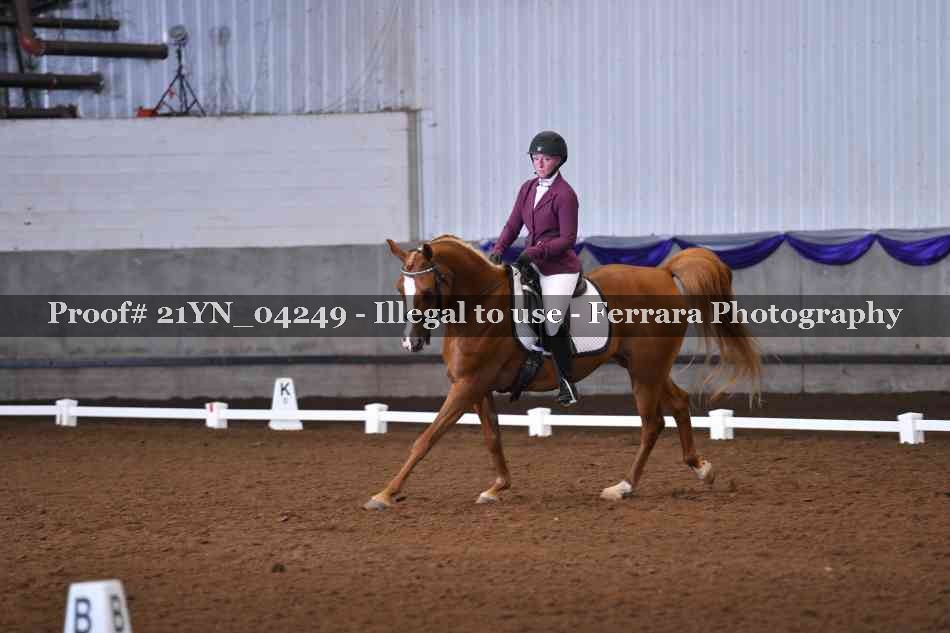 Proof Number 21YN_04249