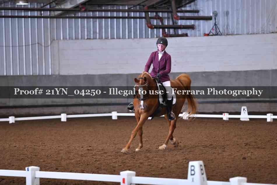 Proof Number 21YN_04250