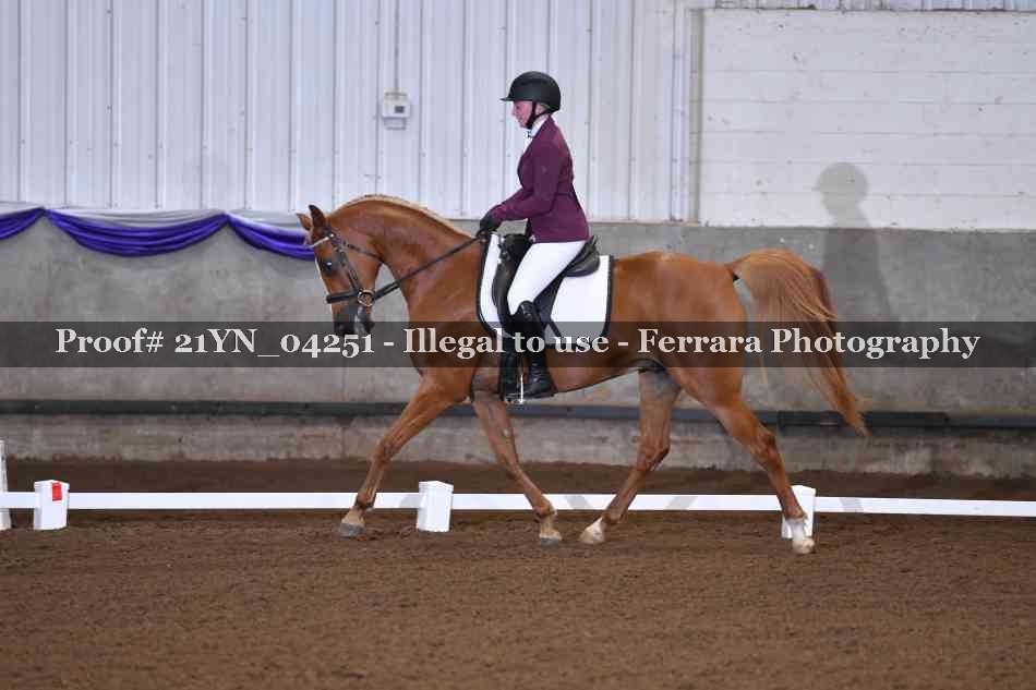 Proof Number 21YN_04251