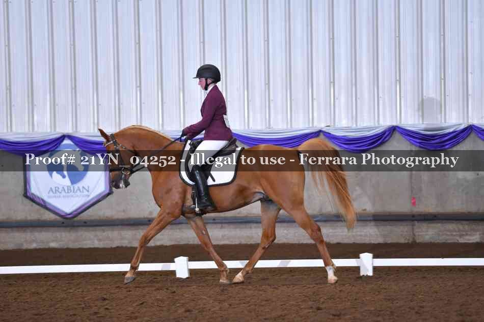 Proof Number 21YN_04252