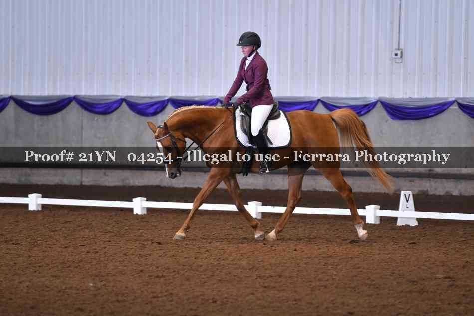 Proof Number 21YN_04254