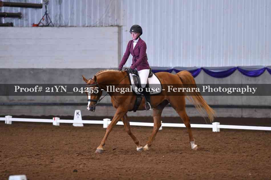 Proof Number 21YN_04255