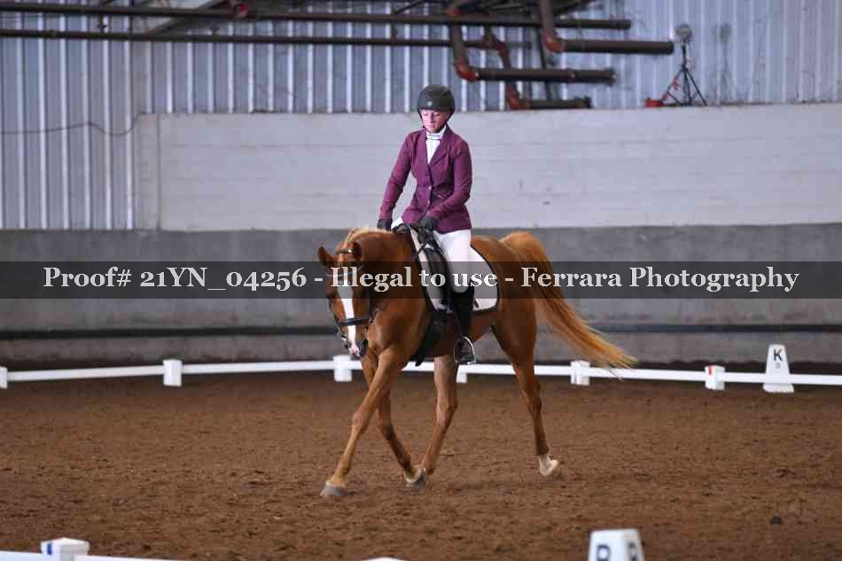 Proof Number 21YN_04256
