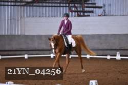 21YN_04256 thumbnail