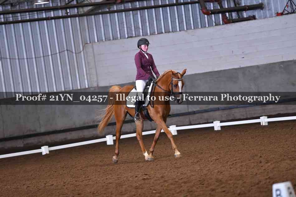 Proof Number 21YN_04257