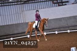 21YN_04257 thumbnail