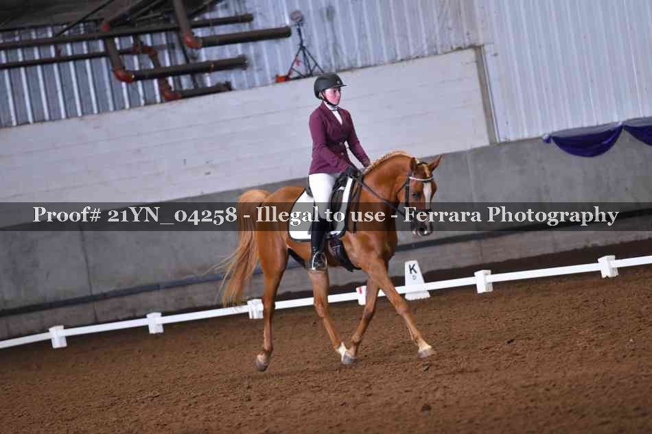 Proof Number 21YN_04258