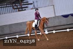 21YN_04258 thumbnail