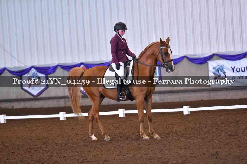 Proof Number 21YN_04259