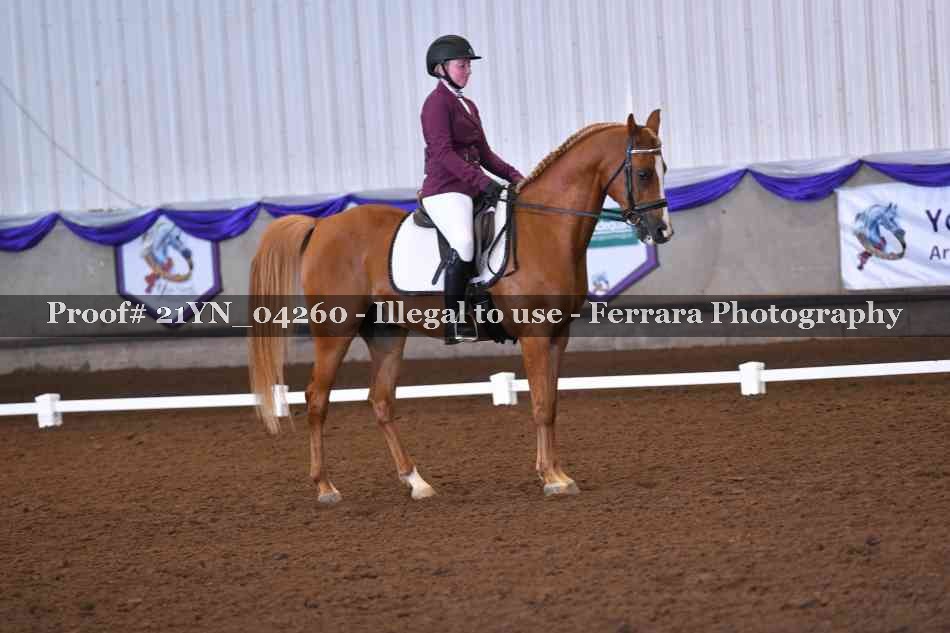 Proof Number 21YN_04260