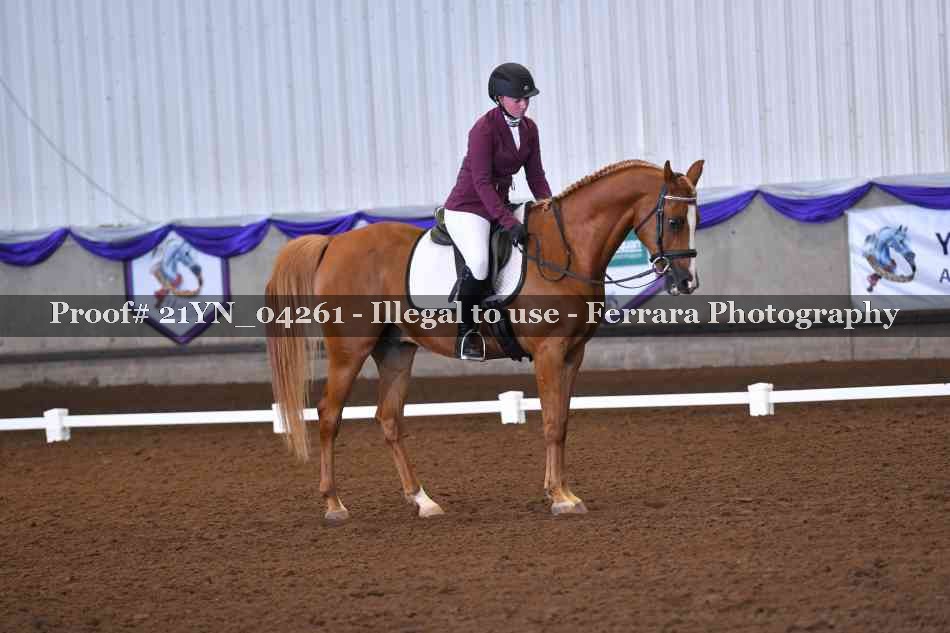 Proof Number 21YN_04261