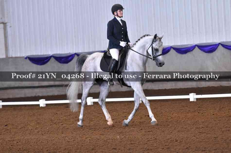 Proof Number 21YN_04268