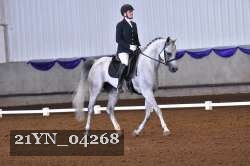 21YN_04268 thumbnail