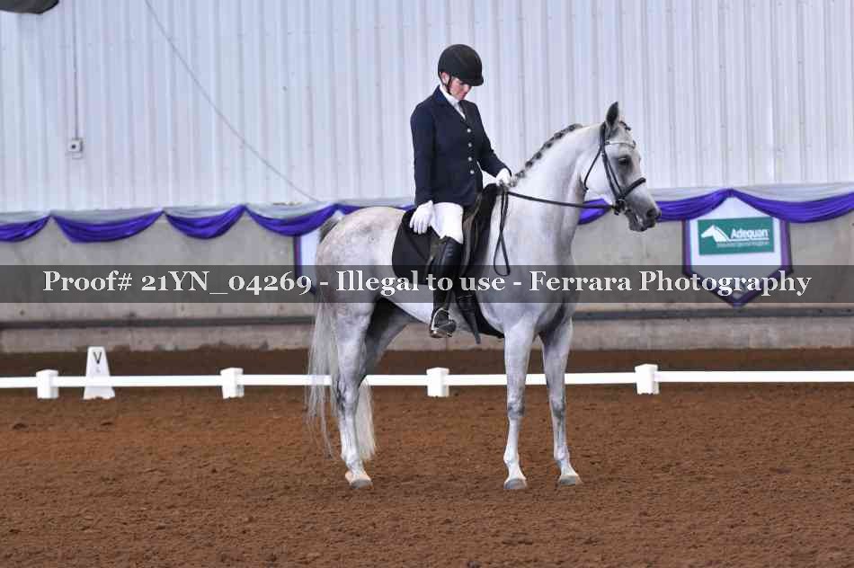 Proof Number 21YN_04269