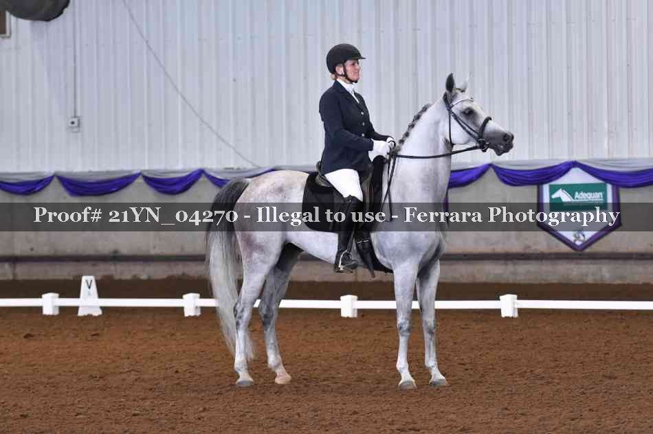 Proof Number 21YN_04270