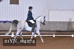 21YN_04274 thumbnail