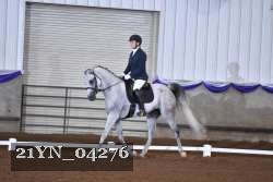 21YN_04276 thumbnail