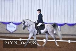 21YN_04278 thumbnail