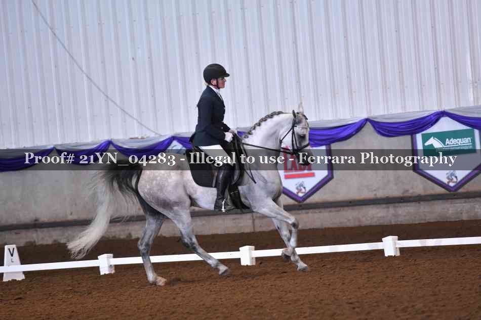 Proof Number 21YN_04283