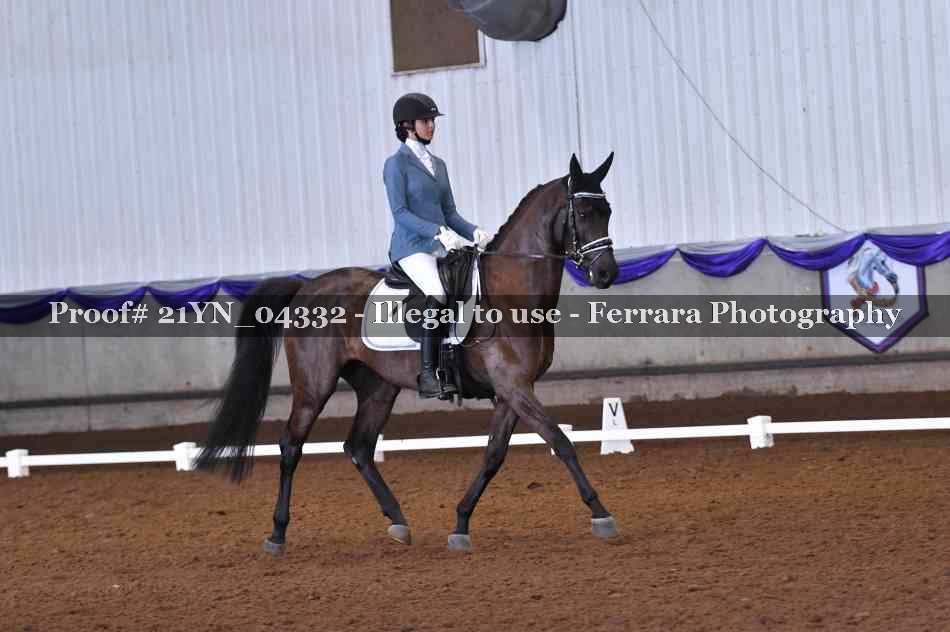 Proof Number 21YN_04332