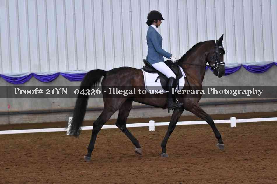 Proof Number 21YN_04336