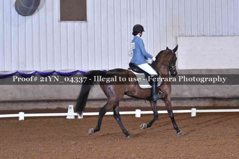 Proof Number 21YN_04337