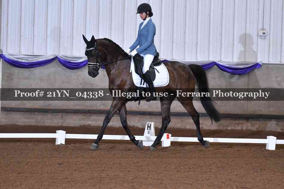 Proof Number 21YN_04338