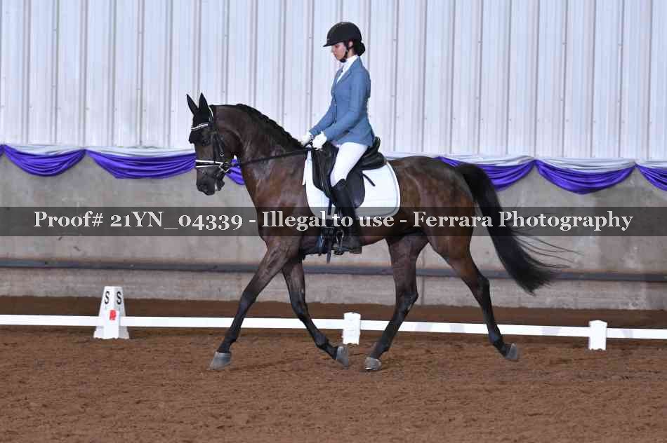 Proof Number 21YN_04339