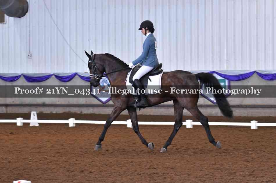 Proof Number 21YN_04341