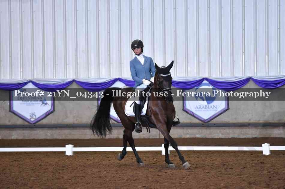 Proof Number 21YN_04343