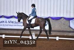 21YN_04352 thumbnail