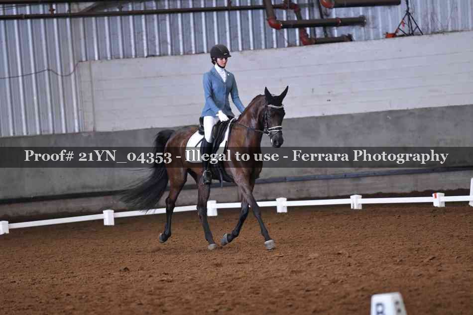 Proof Number 21YN_04353