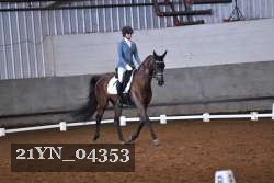 21YN_04353 thumbnail