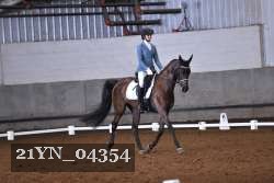 21YN_04354 thumbnail