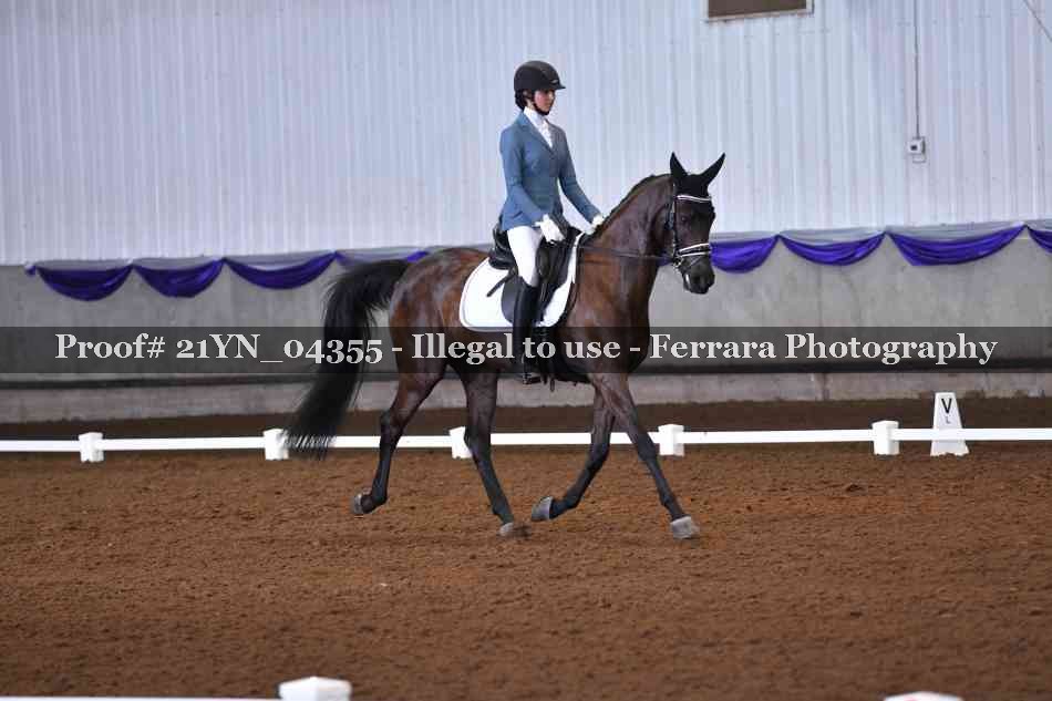 Proof Number 21YN_04355