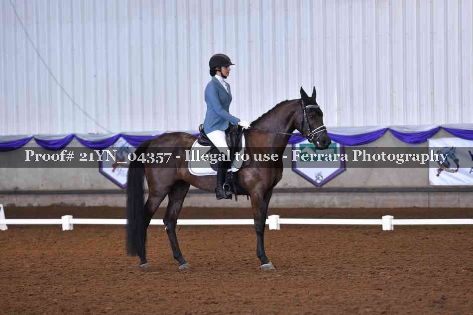 Proof Number 21YN_04357