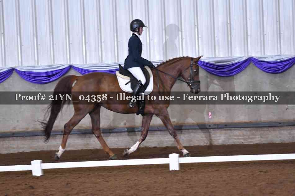 Proof Number 21YN_04358