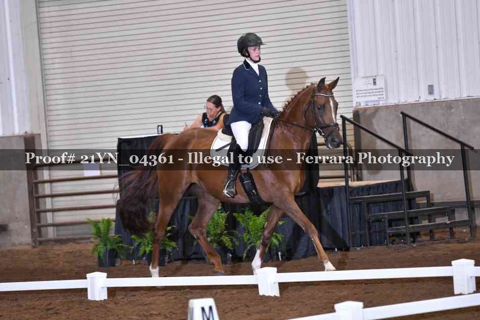 Proof Number 21YN_04361
