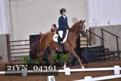 21YN_04361 thumbnail
