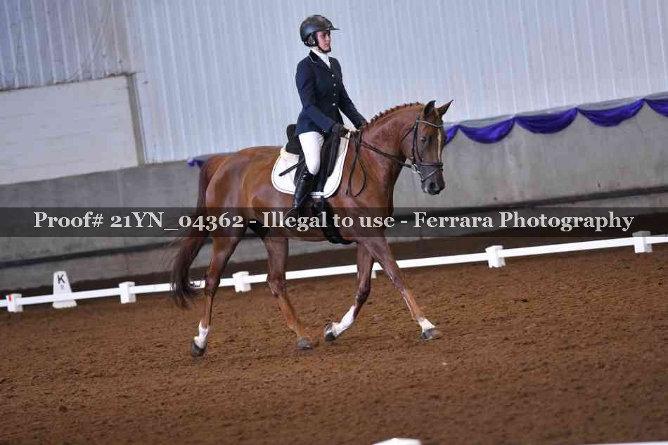 Proof Number 21YN_04362