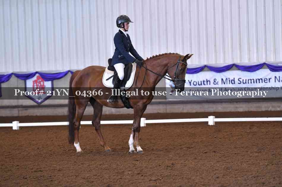 Proof Number 21YN_04366