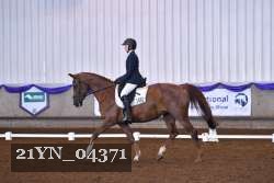 21YN_04371 thumbnail