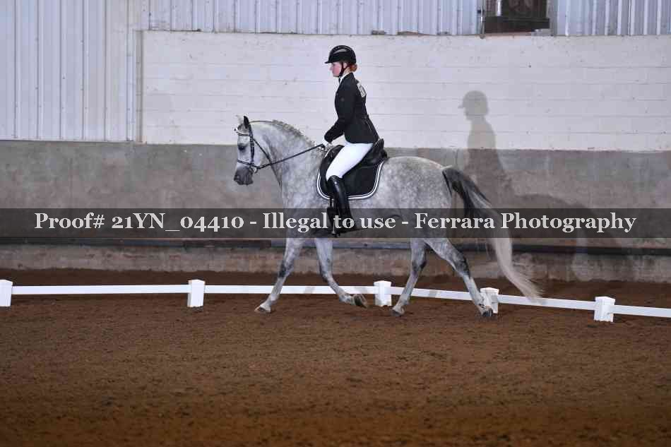 Proof Number 21YN_04410
