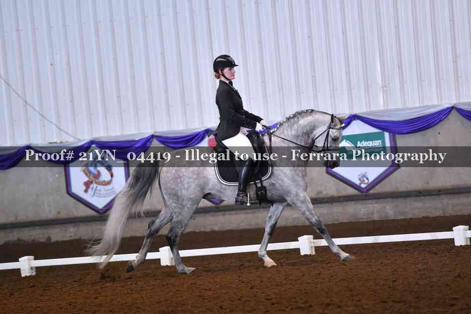 Proof Number 21YN_04419
