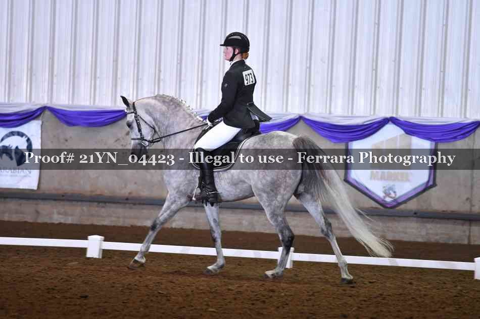 Proof Number 21YN_04423