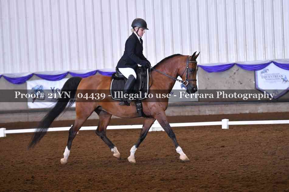 Proof Number 21YN_04439