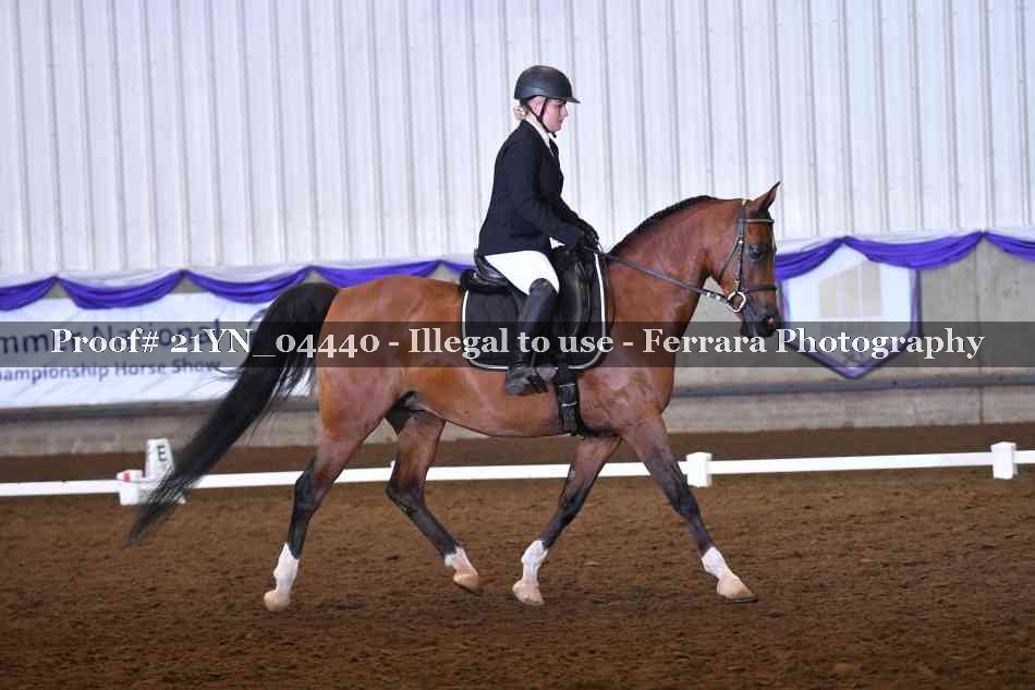 Proof Number 21YN_04440